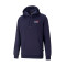 Sudadera Puma Essentials + Logo