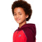 Nike Kids Sportswear Amplify Jacket