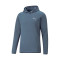 Sudadera Puma Evostripe