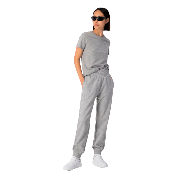 camiseta-champion-legacy-small-logo-metalic-grey-2.jpg