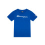 Legacy Big Logo Blue