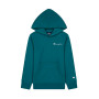 Legacy Small Logo Green