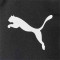 Puma Veld _ Handschoen