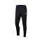 Nike Park 20 Knit GS de Carcavelos Trousers