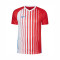 Nike Striped SMU II s/s T-Shirt