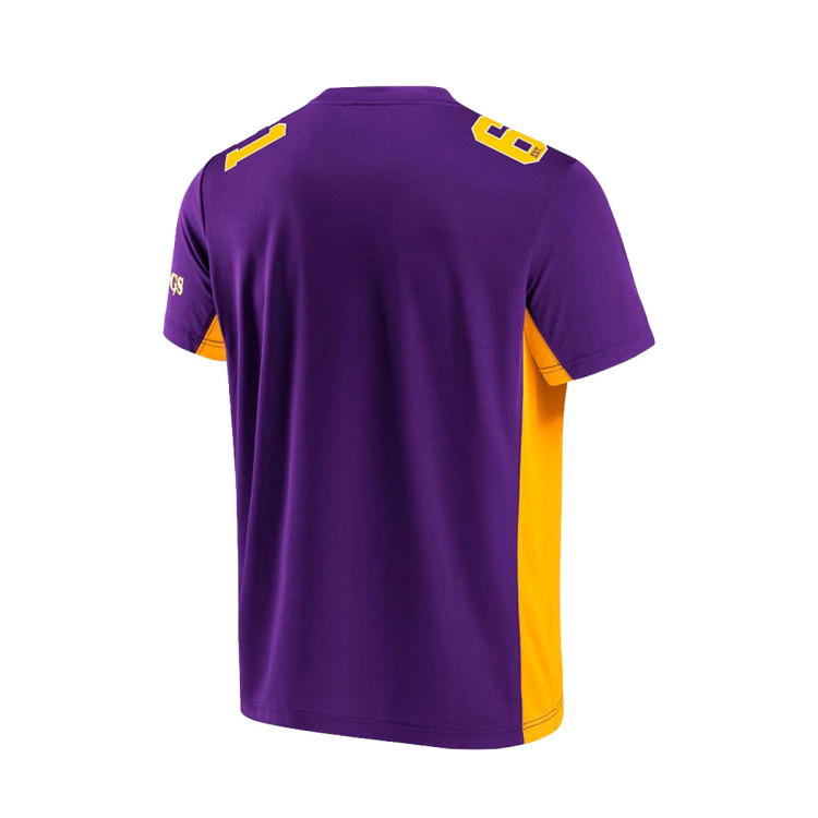 camiseta-fanatics-value-franchise-poly-mesh-supporters-jersey-minnesota-vikings-purple-1.jpg