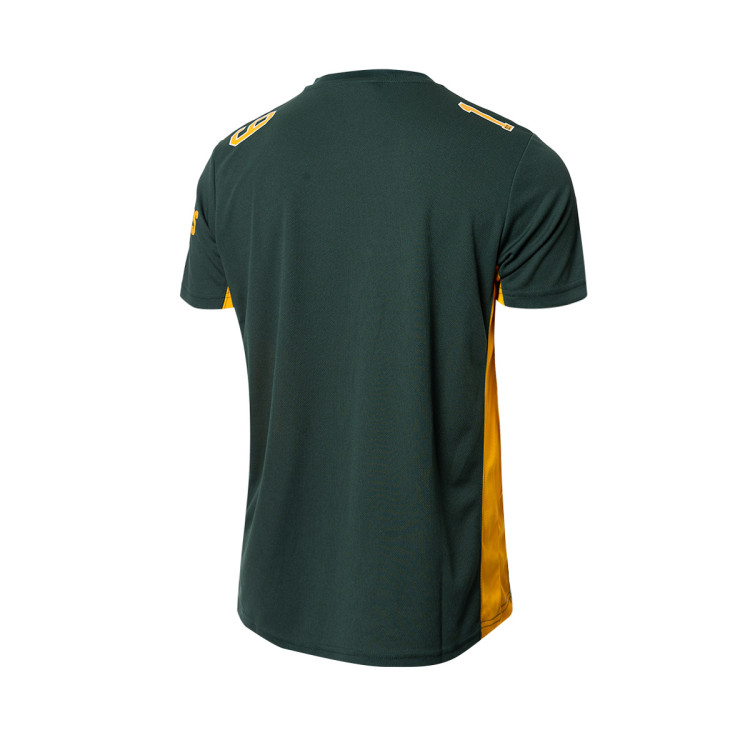 camiseta-fanatics-value-franchise-poly-mesh-supporters-jersey-green-bay-packers-verde-1.jpg