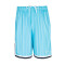 Pantalón corto Serif Pinstripe Baseball Blue