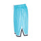 Pantalón corto Serif Pinstripe Baseball Blue