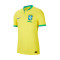 Camiseta Brasil Primera Equipación Match Mundial Qatar 2022 Dynamic Yellow-Green Spark-Paramount Blue