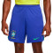 Pantalón corto Brasil Primera Equipación Stadium Mundial Qatar 2022 Paramount Blue-Green Spark