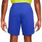 Pantalón corto Brasil Primera Equipación Stadium Mundial Qatar 2022 Paramount Blue-Green Spark