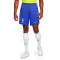 Nike Brazil Home Kit Shorts Stadium World Cup Qatar 2022 Shorts