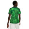 Camiseta Nigeria Primera Equipación Stadium Mundial Qatar 2022 Mujer Green Spark-Pine Green-Black