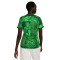 Nike Women Nigeria Home Jersey Stadium World Cup Qatar 2022 Jersey