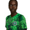 Camiseta Nigeria Primera Equipación Stadium Mundial Qatar 2022 Mujer Green Spark-Pine Green-Black