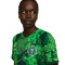 Camisola Nike Nigeria Primeiro Equipamento Stadium Mundial Qatar 2022 Mulher