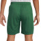 Pantalón corto Portugal Primera Equipación Stadium Mundial Qatar 2022 Gorge Green-Pepper Red