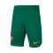 Pantalón corto Portugal Primera Equipación Stadium Mundial Qatar 2022 Niño Gorge Green-Pepper Red