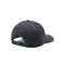 Gorra MLB Boston Red Sox Cold Zone Mvp Navy