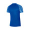 Camiseta Nike Dri-Fit Academy m/c