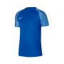 Dri-Fit Academy m/c-Royal Blue-White