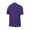 Camiseta Precision VI m/c Court Purple-Chlorine Blue-White