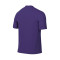 Camiseta Nike Precision VI m/c