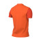 Maillot Nike Trophy V m/c