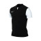 T-Shirt Nike Trophy V m/c