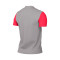 Camiseta Trophy V m/c Pewter Grey-Bright Crimson