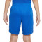 Nike League III Knit Niño Shorts