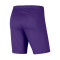 Pantalón corto Nike Park III Knit