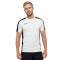 Nike Academy 23 Training s/s T-Shirt