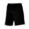 Nike Academy 23 Knit Shorts