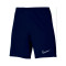 Nike Academy 23 Knit Shorts