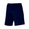 Nike Academy 23 Knit Shorts