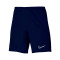 Pantalón corto Nike Academy 23 Knit Niño