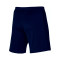 Short Nike Academy 23 Knit Niño