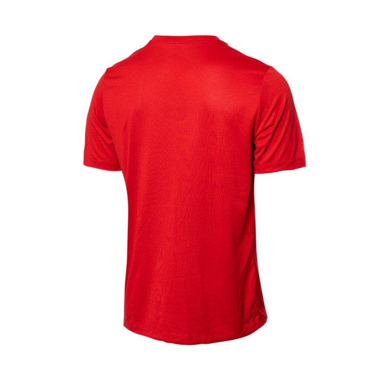 camiseta-nike-local-legend-boston-red-sox-sport-red-1