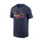 Camiseta Nike Cotton Wordmark St. Louis Cardinals
