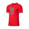 Nike Cotton Logo Boston Red Sox Jersey