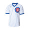 Camiseta Replica Cooperstown Jersey Chicago Cubs Wht-Bright Royal Pin