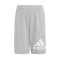 Pantalón corto Essentials Big Logo Niño Medium Grey Heather-White
