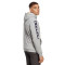 Sudadera Essentials Big Logo Medium Grey Heather