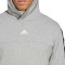 Sudadera Essentials Big Logo Medium Grey Heather