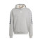 Sudadera Essentials Big Logo Medium Grey Heather