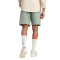 Pantalón corto City Escape Silver Green