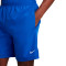 Nike Multi Woven Niño Shorts