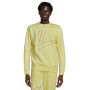 Club+ Lemon Chiffon